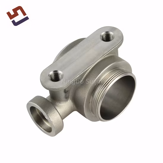 ISO9001 Fabrik Feinguss Edelstahl Gussgriff Kochgeschirr Spiegelpolieren Stahlguss